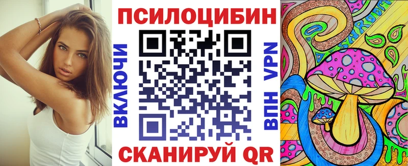 мориарти телеграм  Каневская  Псилоцибиновые грибы мицелий 